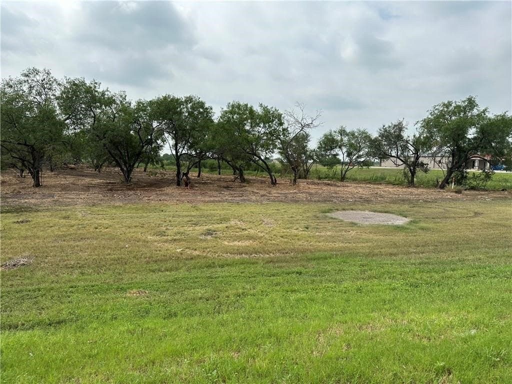 2.2 acres in Jim Wells County - photo 16