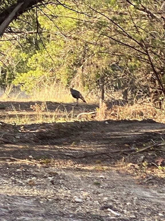 3.55 acres in Parker County featured view