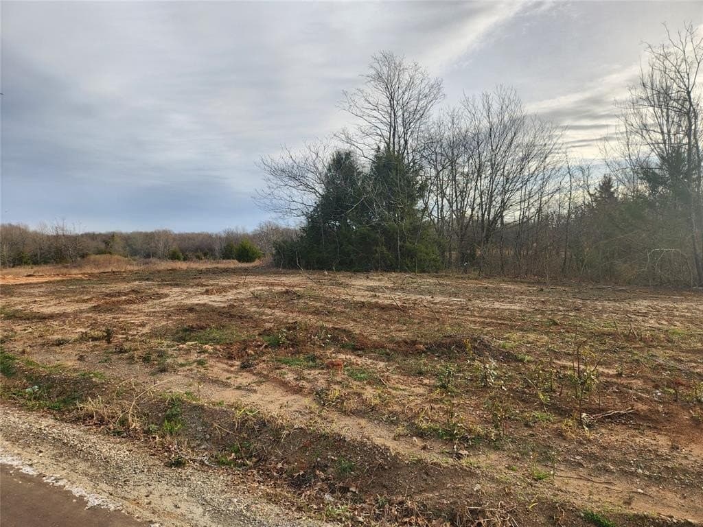 2.86 acres in Hopkins County gallery image 2