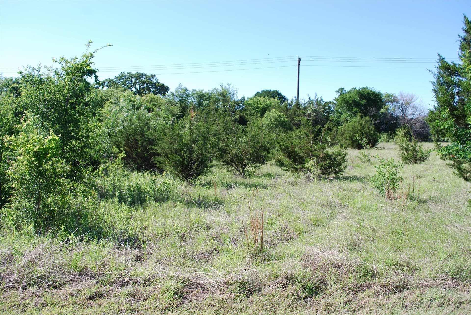 0.35 acres in Hill County - photo 2