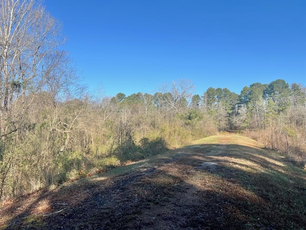 166.63 acres in Titus County gallery image 3