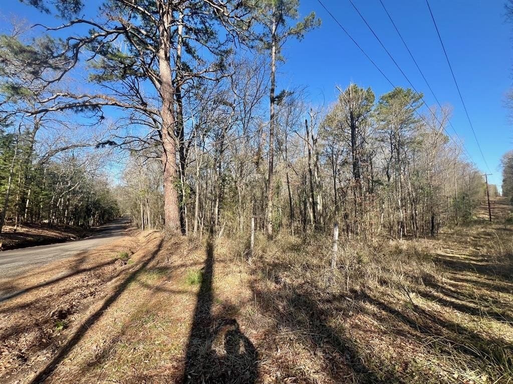 166.63 acres in Titus County featured view