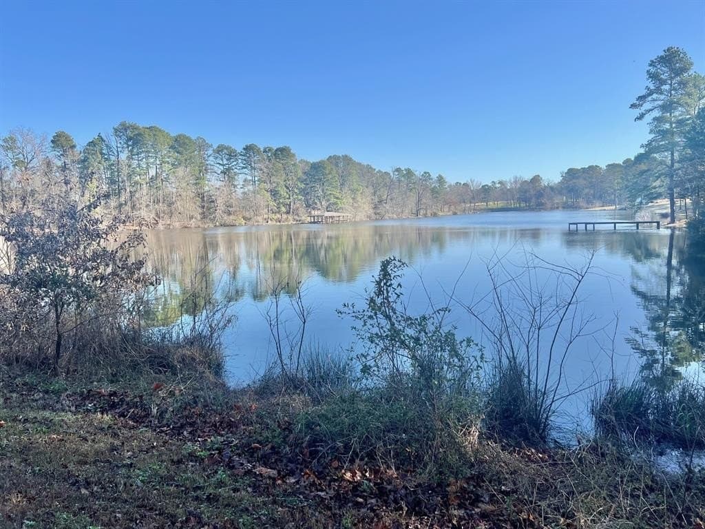 166.63 acres in Titus County