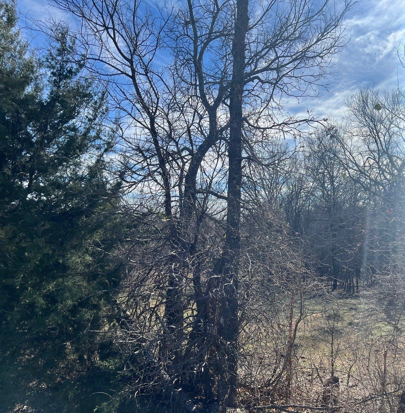 14.18 acres in Grayson County - photo 11