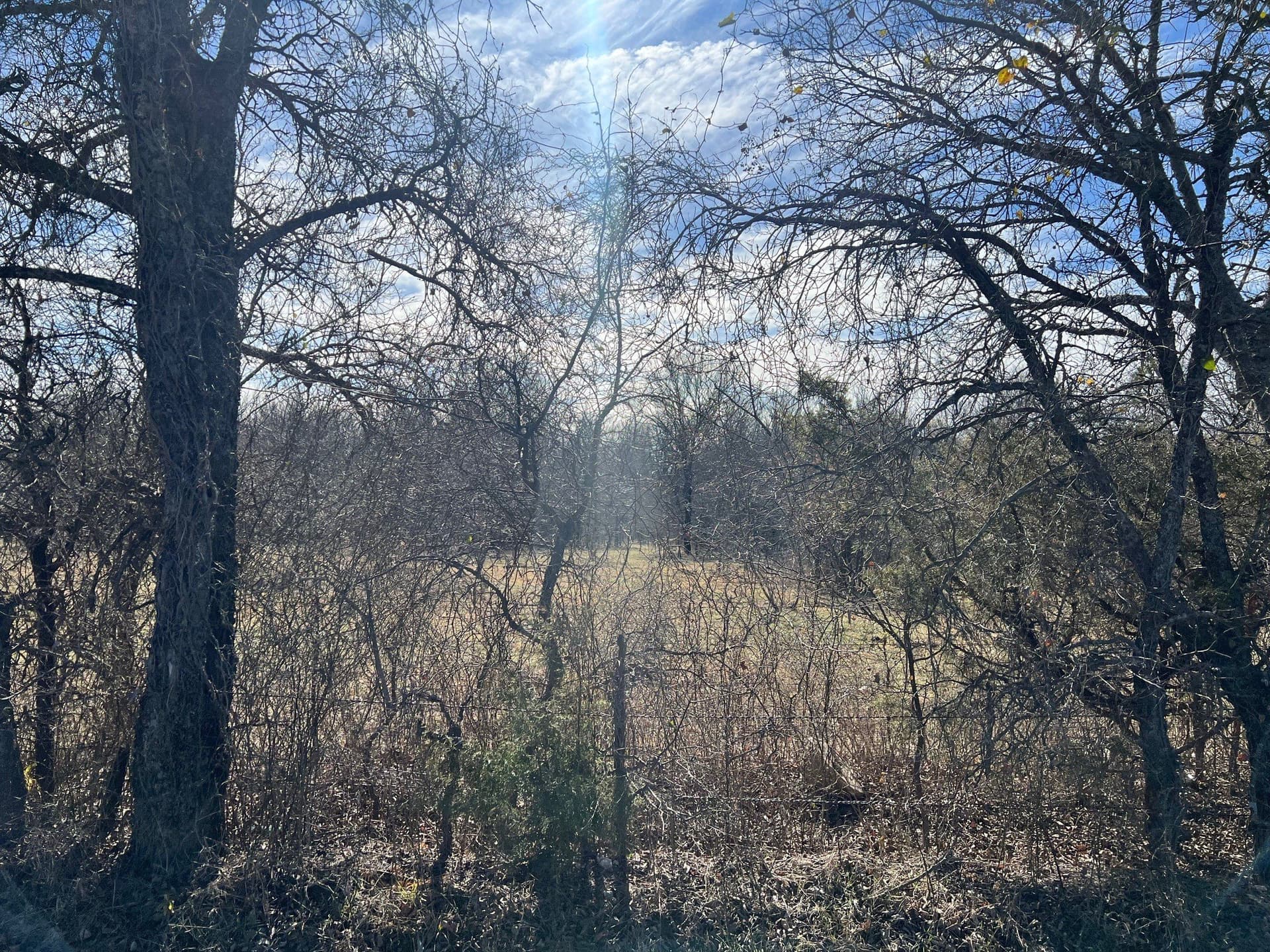 14.18 acres in Grayson County - photo 10