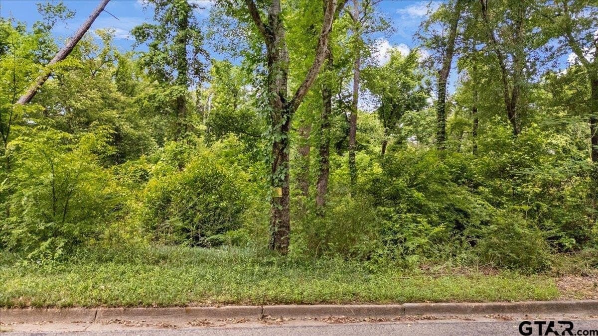 2.23 acres in Smith County featured view