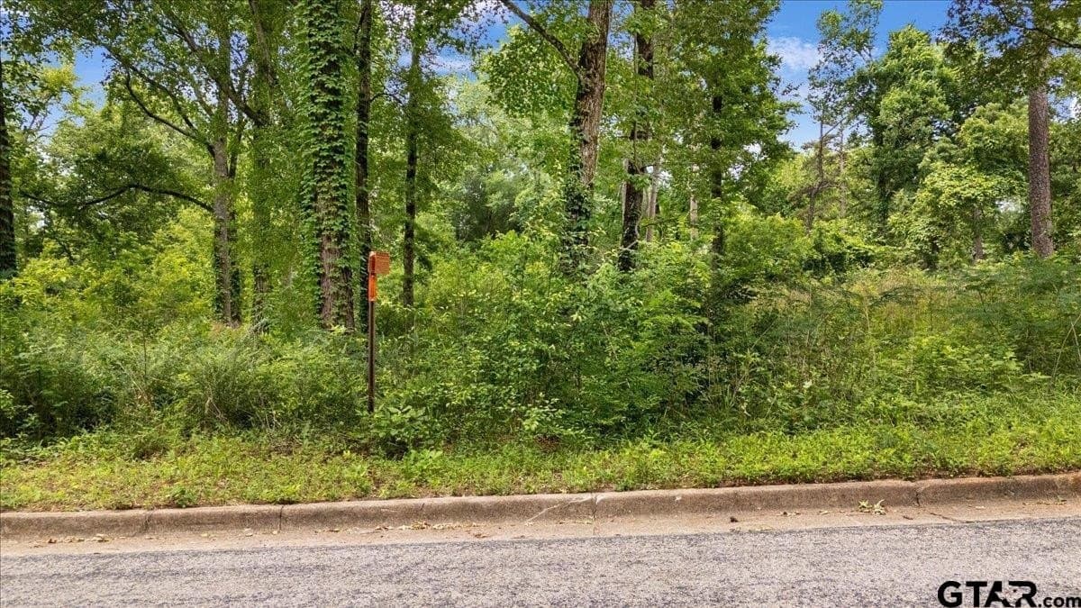 2.23 acres in Smith County gallery image 3