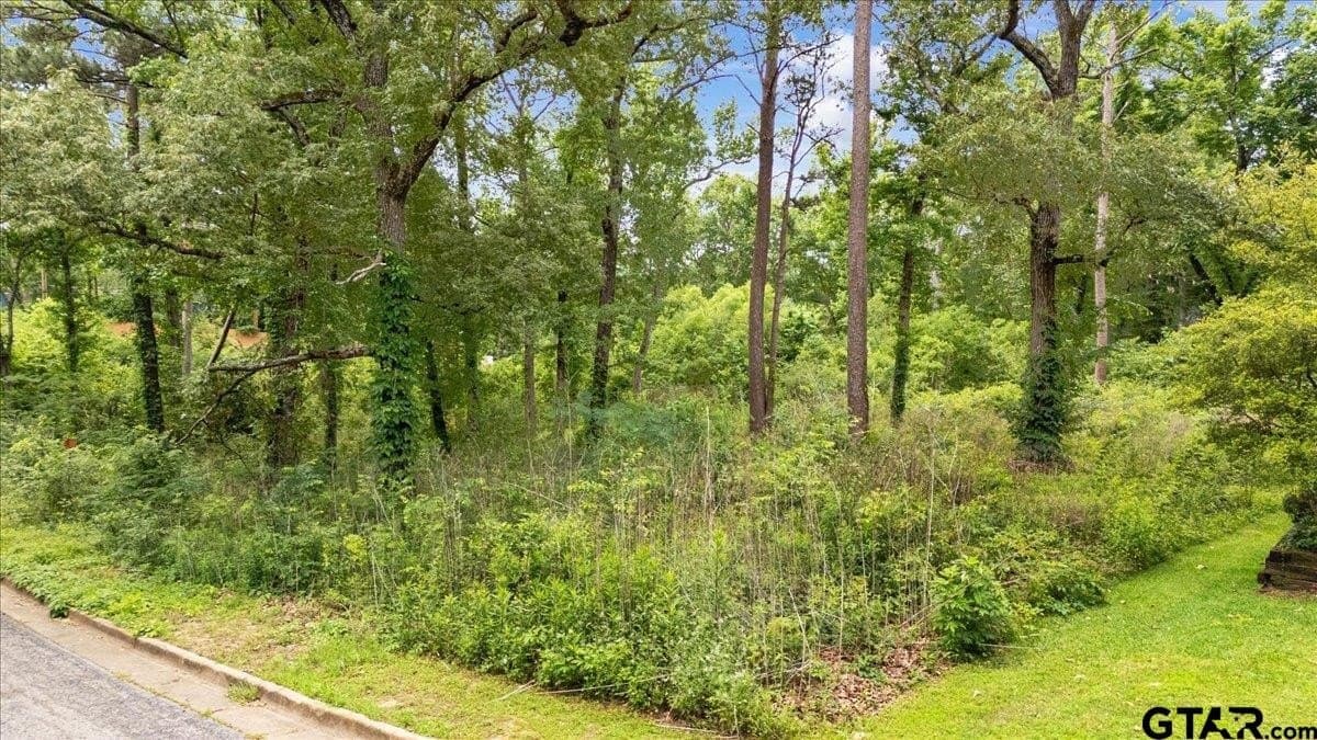2.23 acres in Smith County gallery image 4