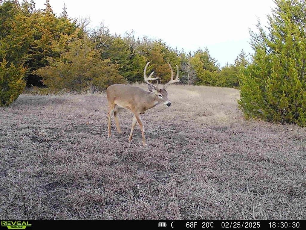 57.5 acres in Fannin County featured view