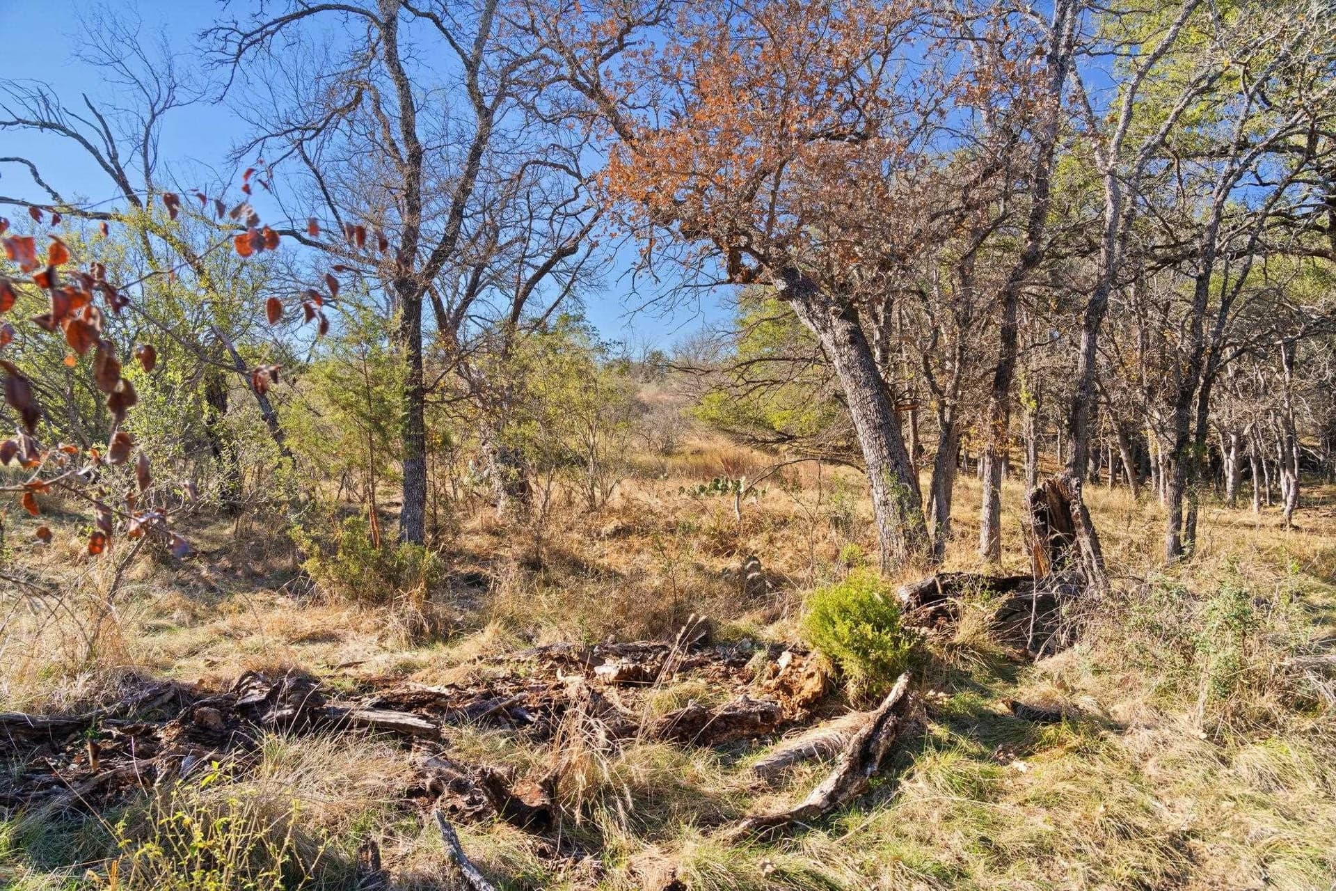 6.08 acres in Llano County - photo 18