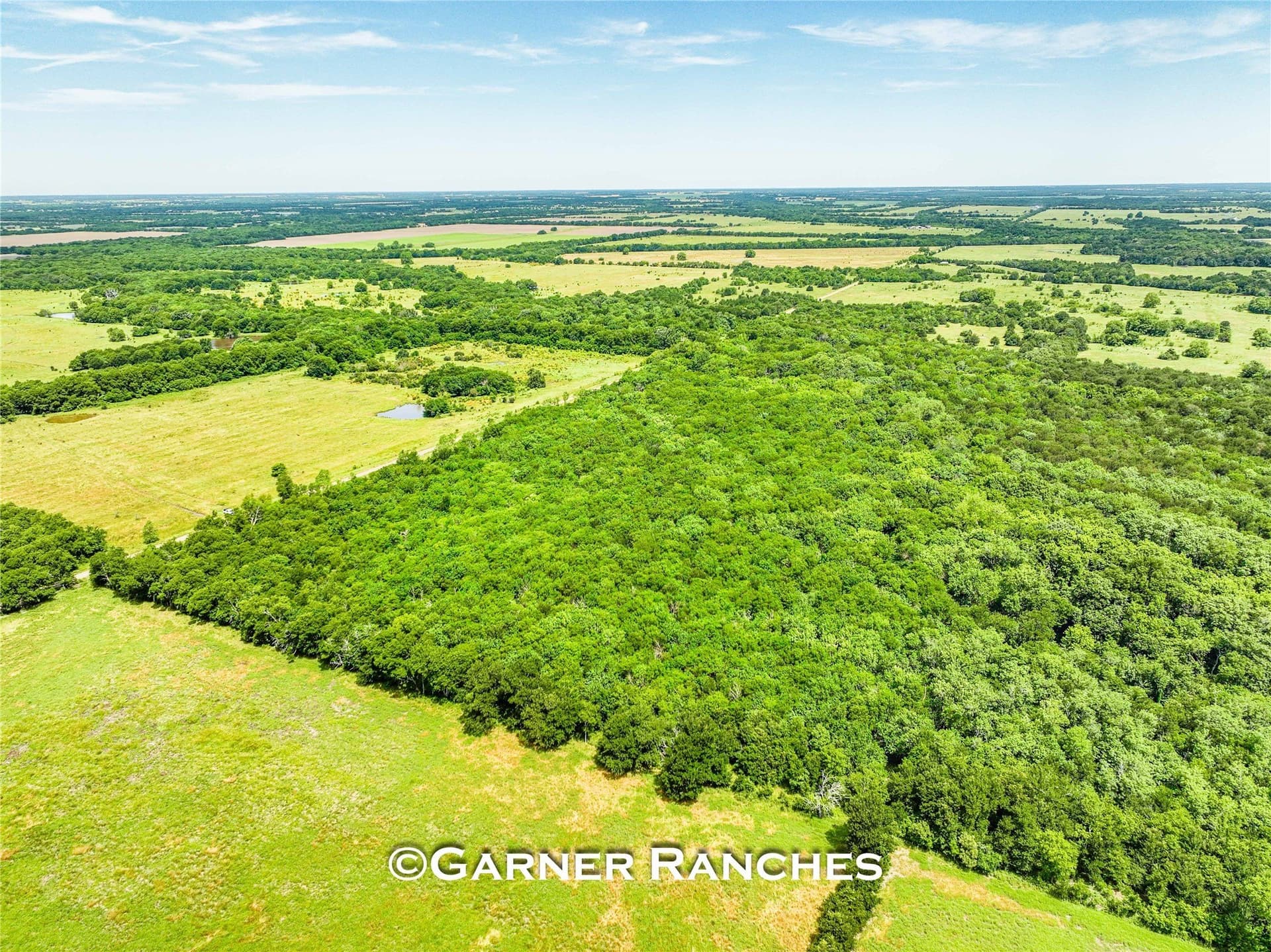 47.64 acres in Hunt County - photo 4