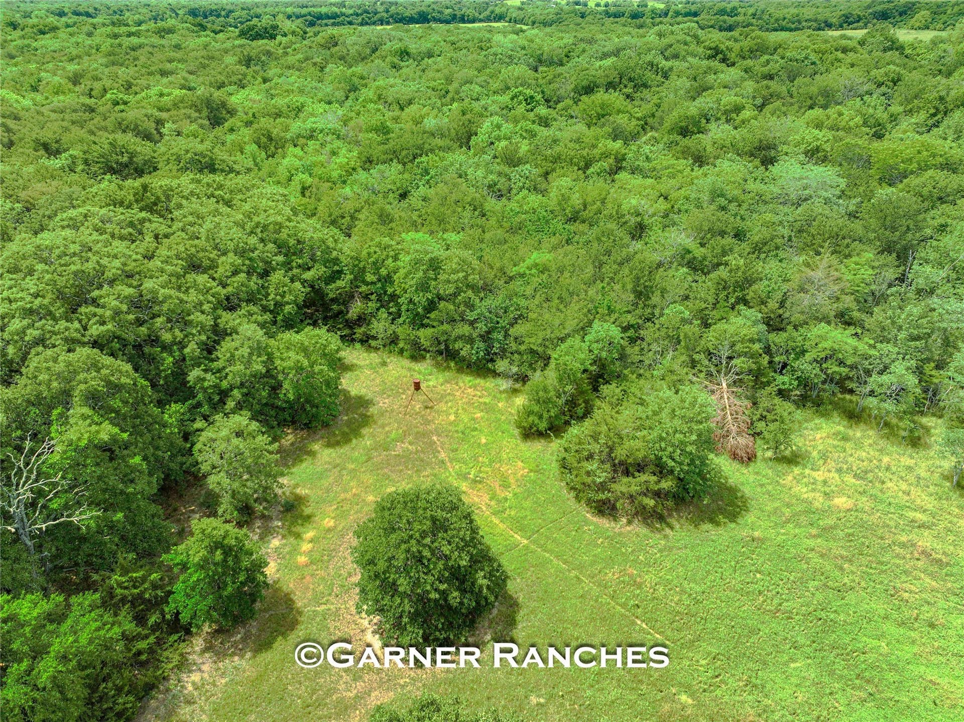 47.64 acres in Hunt County - photo 11