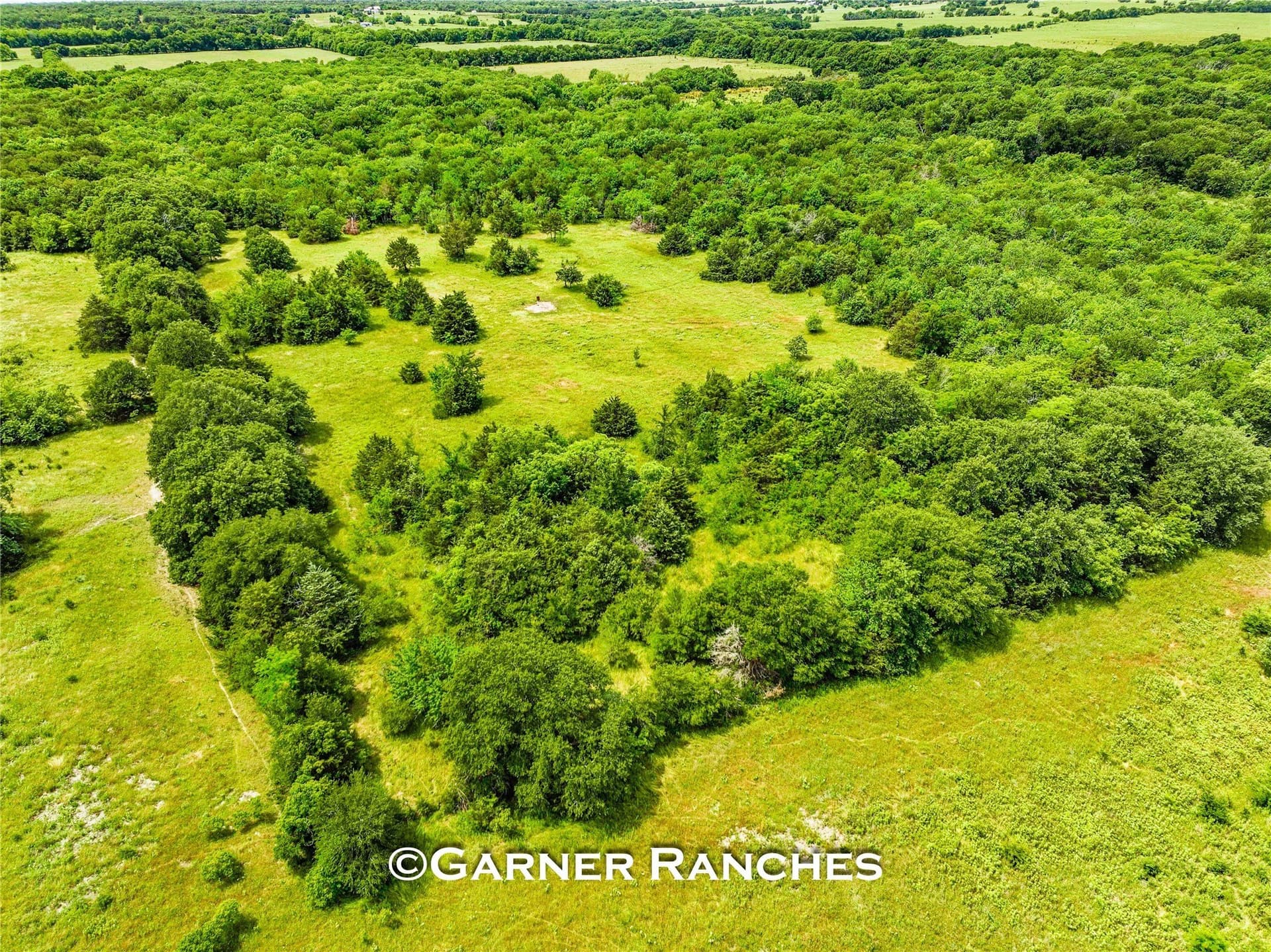47.64 acres in Hunt County - photo 8