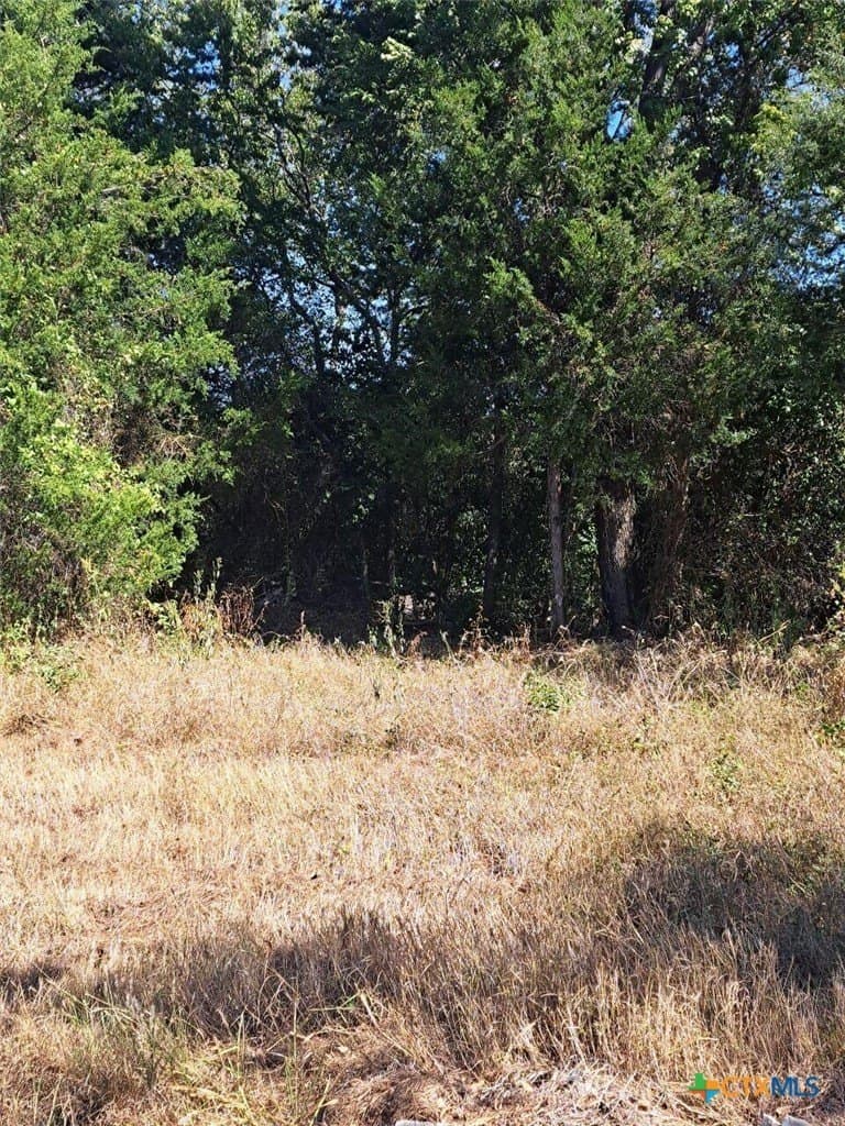 0.4 acres in Milam County - photo 2