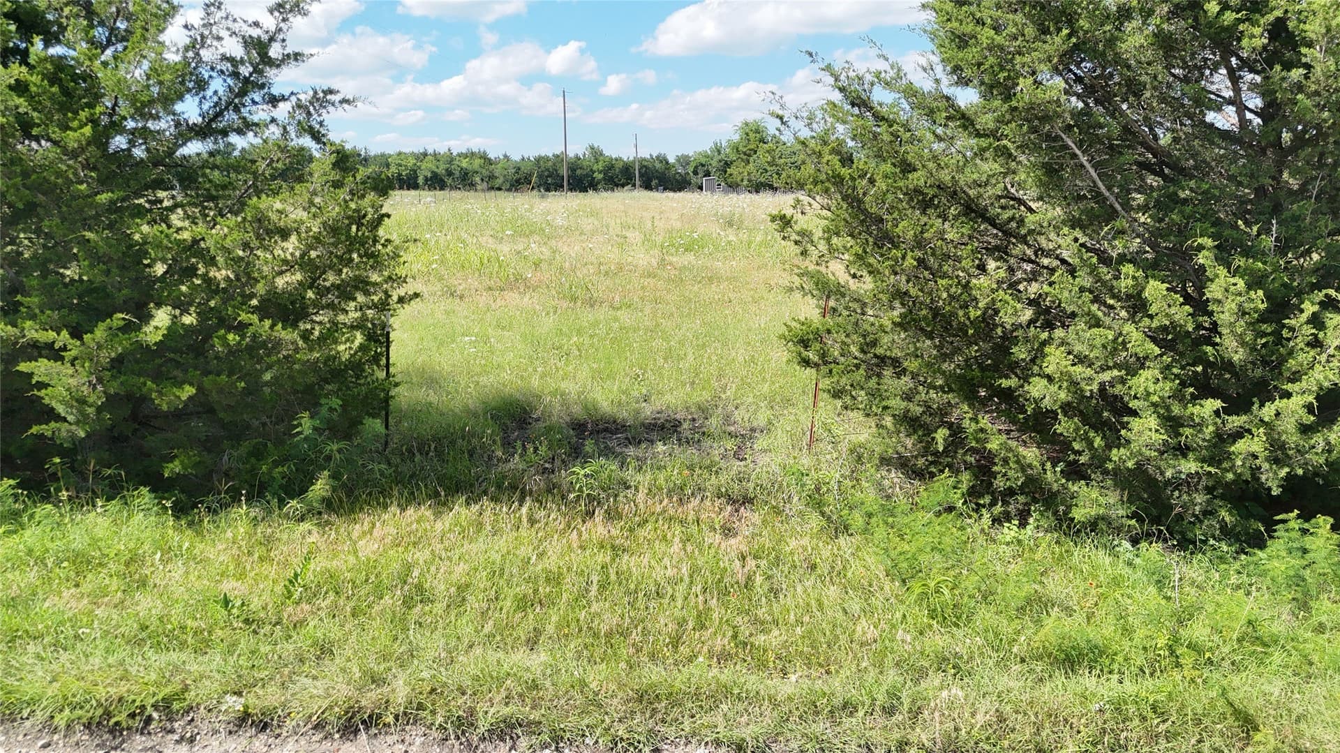 1.82 acres in Fannin County - photo 3