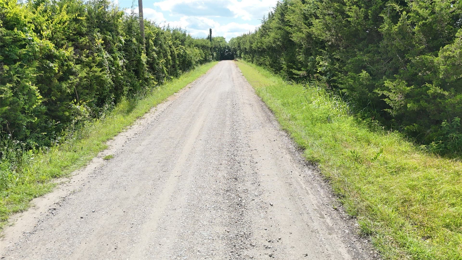 1.82 acres in Fannin County - photo 4