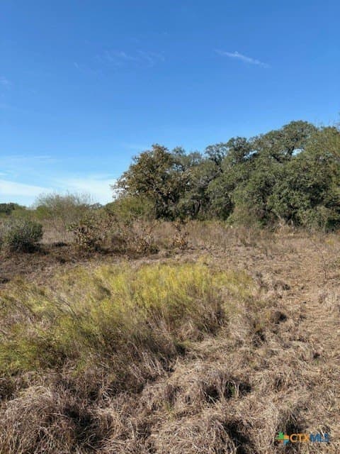 15 acres in Goliad County gallery image 4