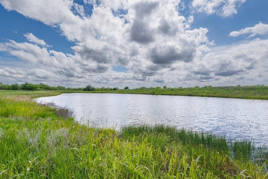 26 acres in Coleman County gallery image 2