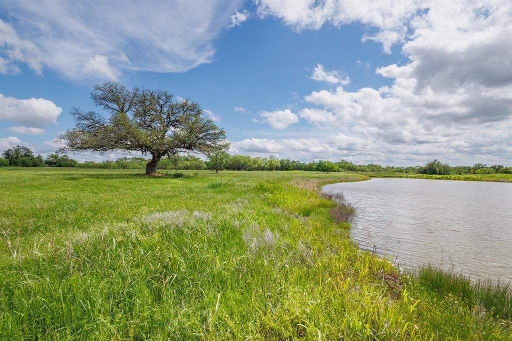 26 acres in Coleman County gallery image 4
