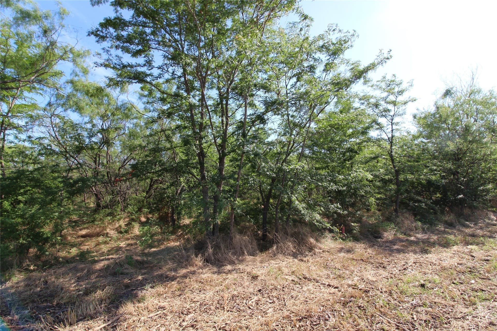 1.51 acres in Kaufman County gallery image 4