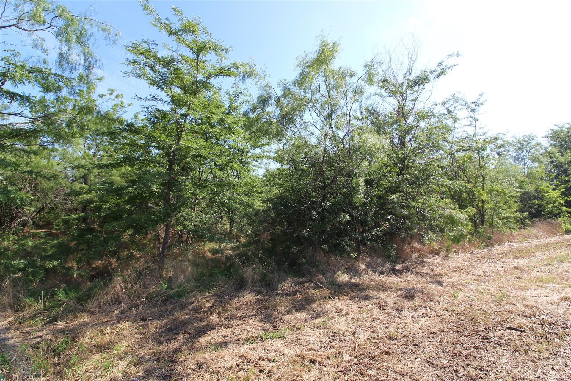 1.51 acres in Kaufman County gallery image 3