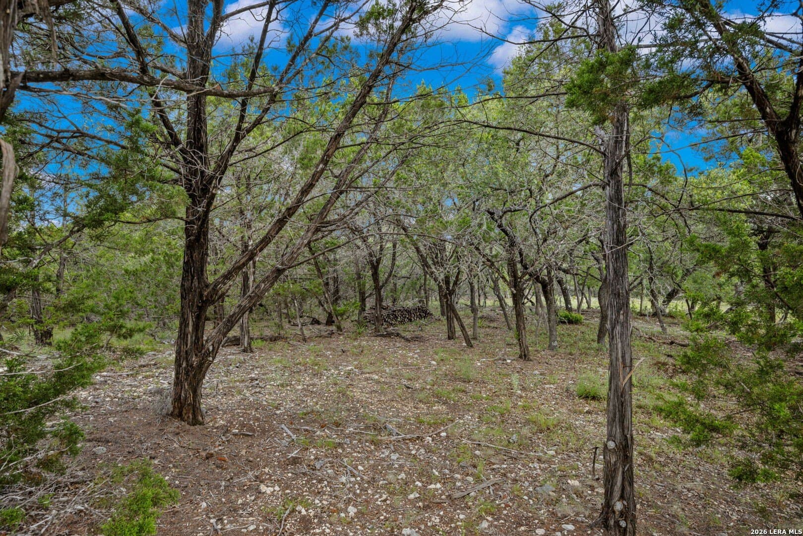 5 acres in Comal County - photo 7