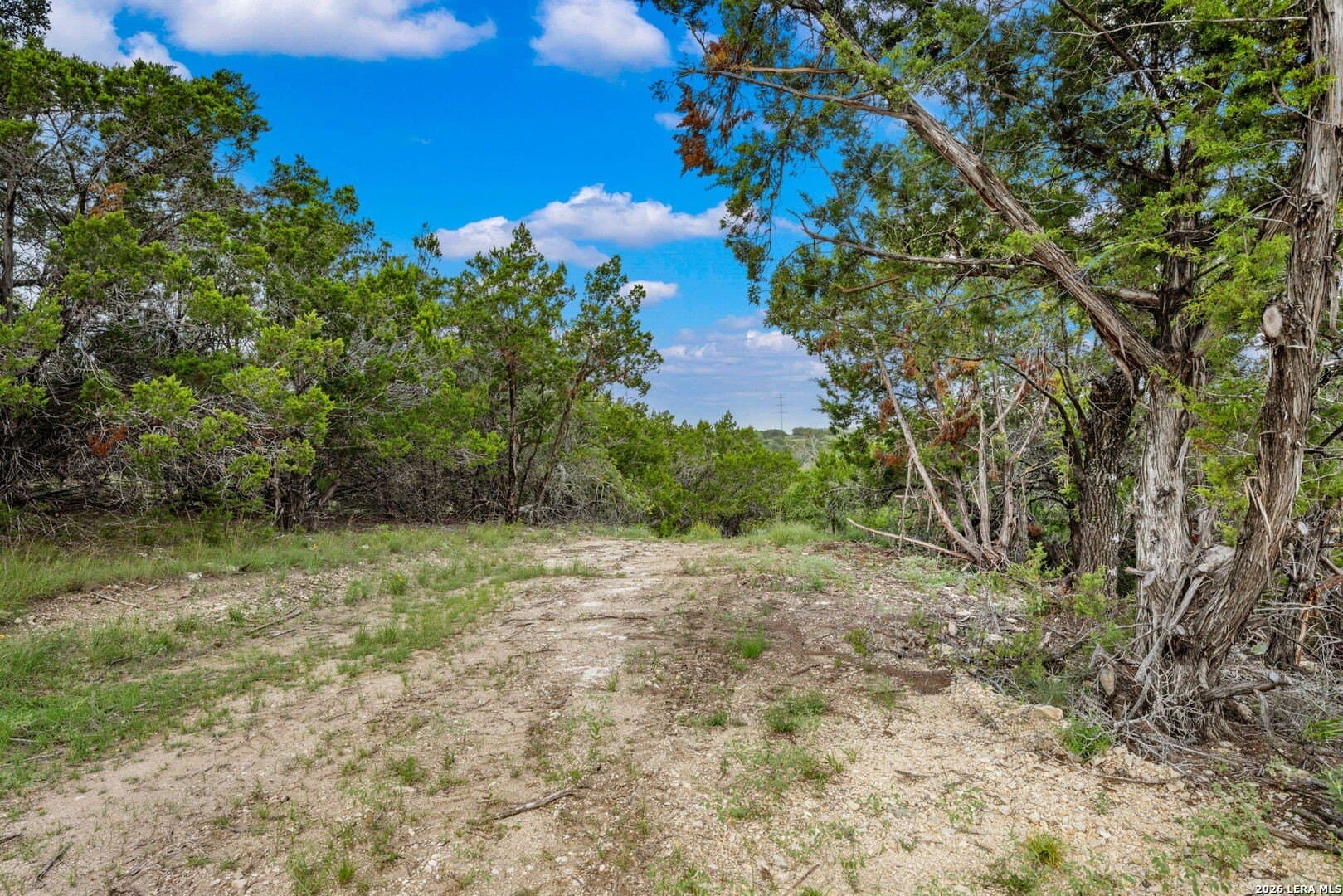 5 acres in Comal County gallery image 3