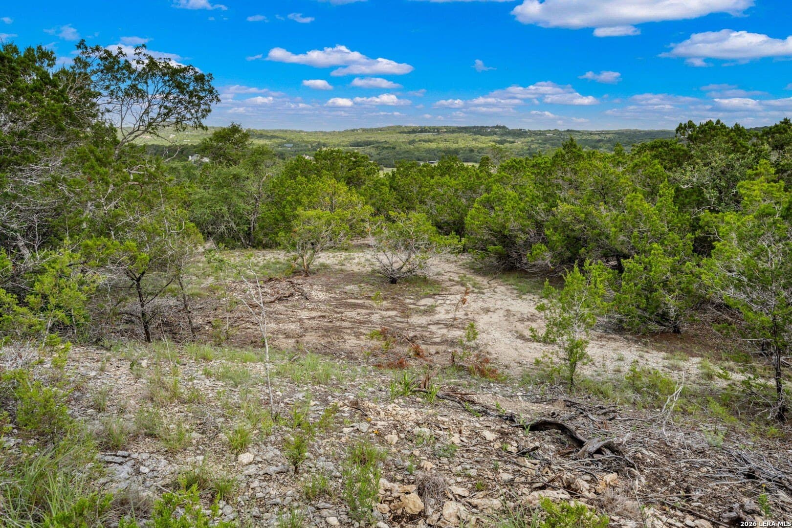 5 acres in Comal County gallery image 4