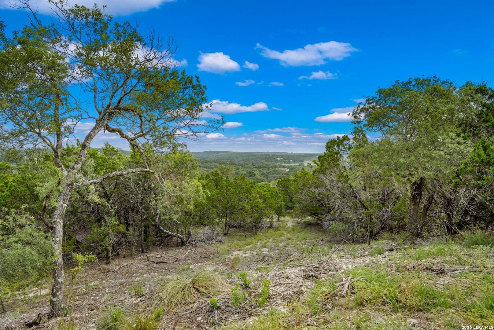 5 acres in Comal County gallery image 2