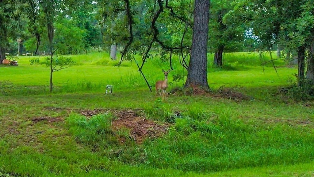 105 acres in Texas County - photo 29