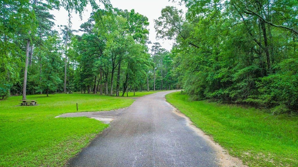 105 acres in Texas County - photo 30
