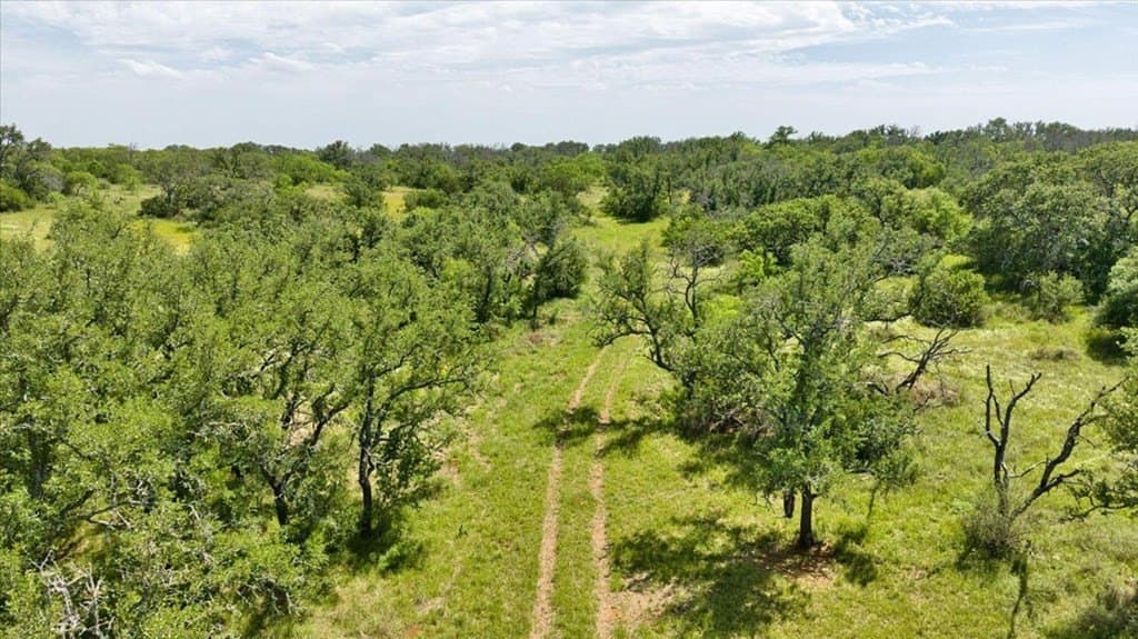 524.38 acres in Mason County - photo 41