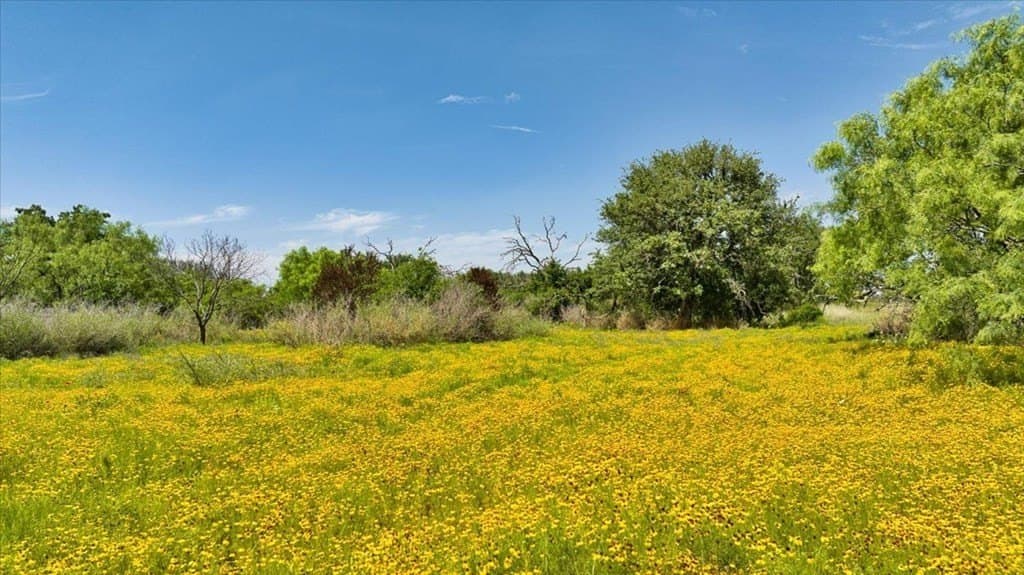 524.38 acres in Mason County - photo 50
