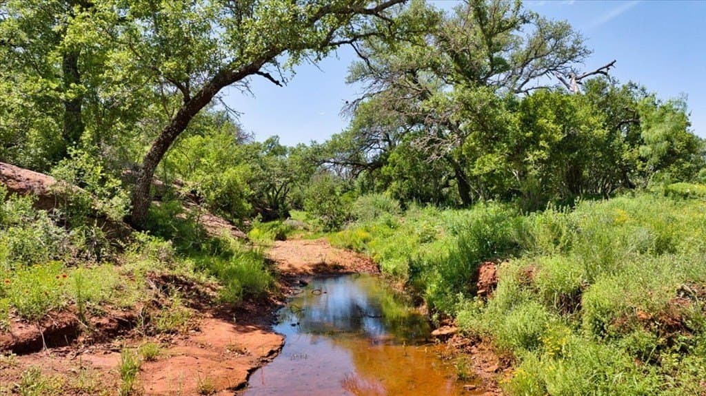 524.38 acres in Mason County - photo 17