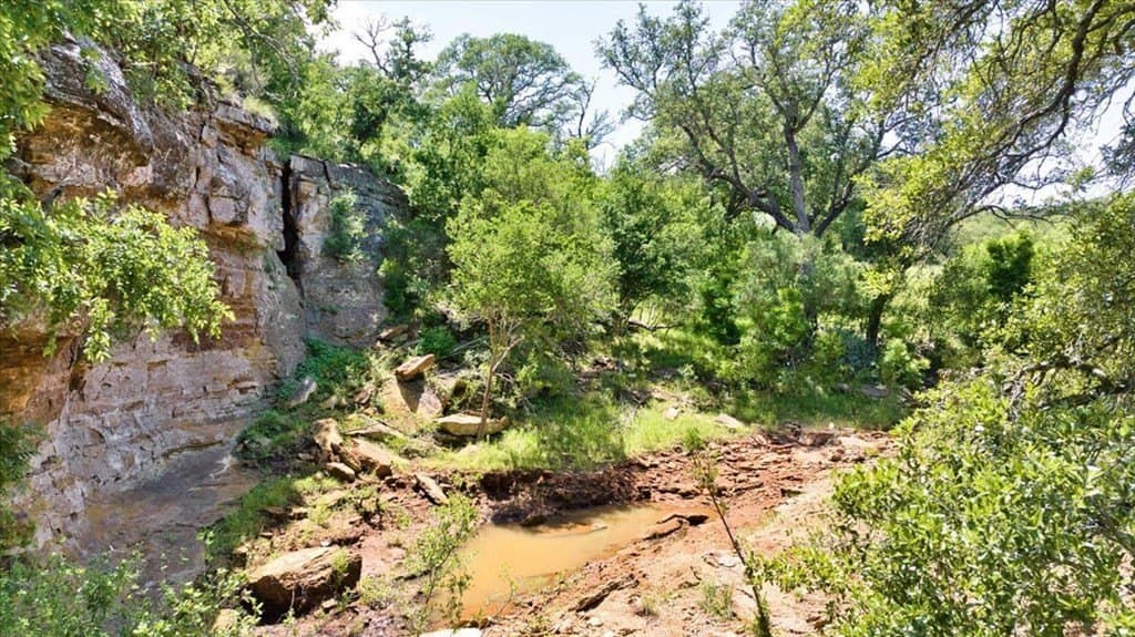 524.38 acres in Mason County - photo 27