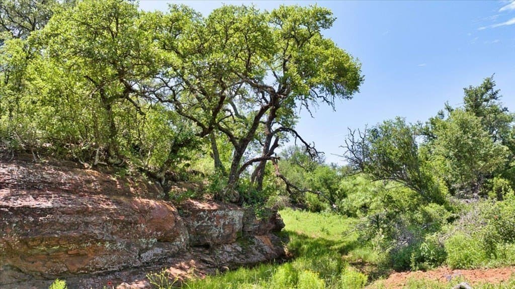 524.38 acres in Mason County - photo 18