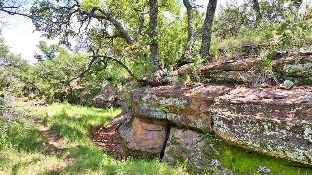 524.38 acres in Mason County - photo 19