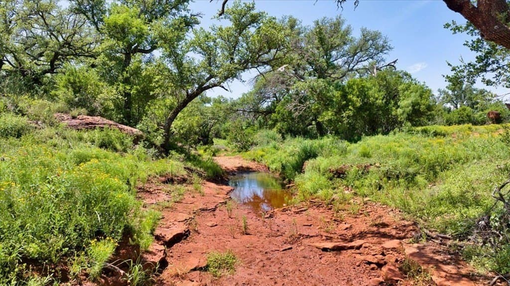 524.38 acres in Mason County - photo 16