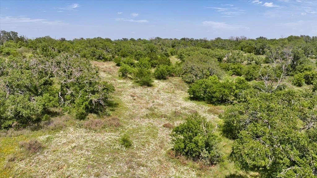 524.38 acres in Mason County - photo 53