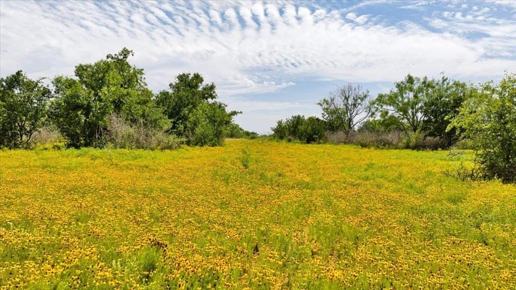 524.38 acres in Mason County - photo 49