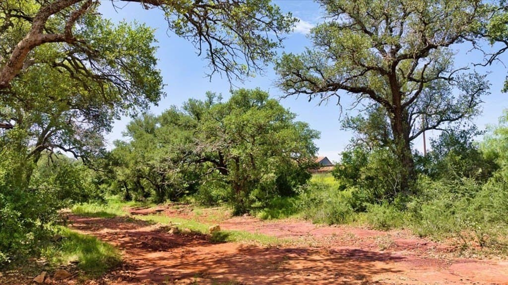 524.38 acres in Mason County - photo 20