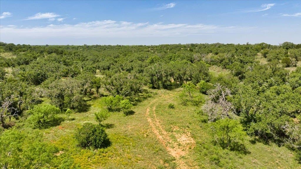 524.38 acres in Mason County - photo 30