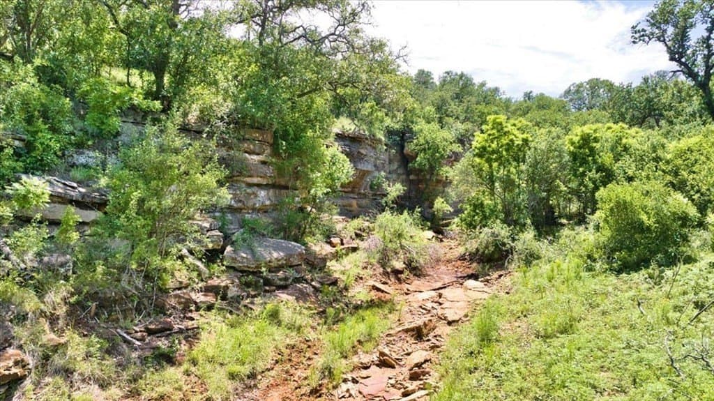 524.38 acres in Mason County - photo 26