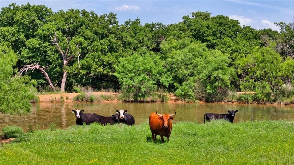 524.38 acres in Mason County - photo 67