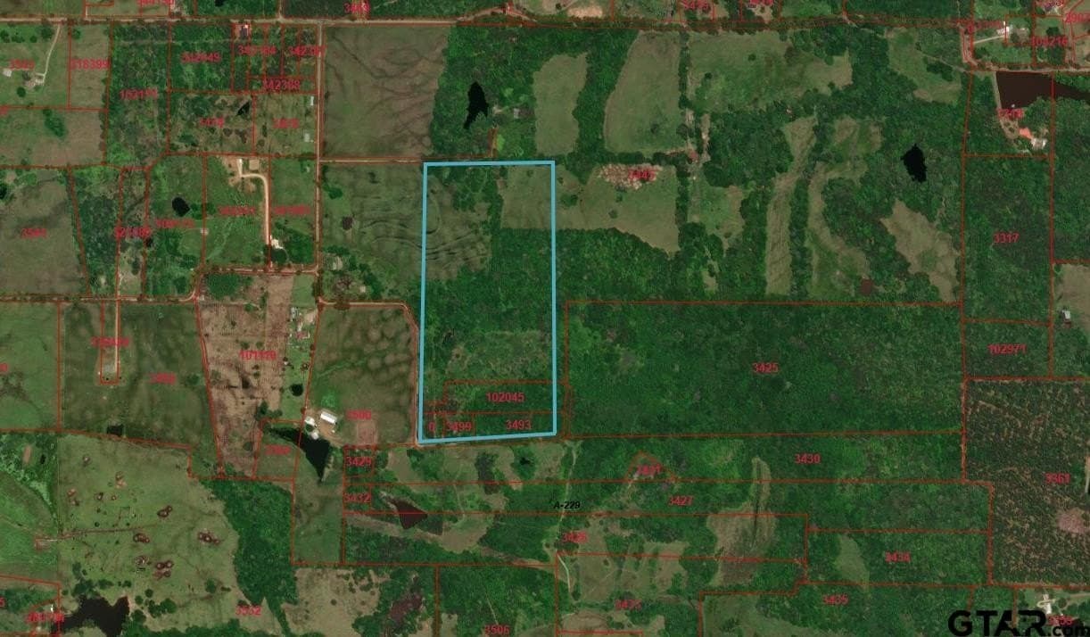 47.7 acres in Titus County gallery image 4