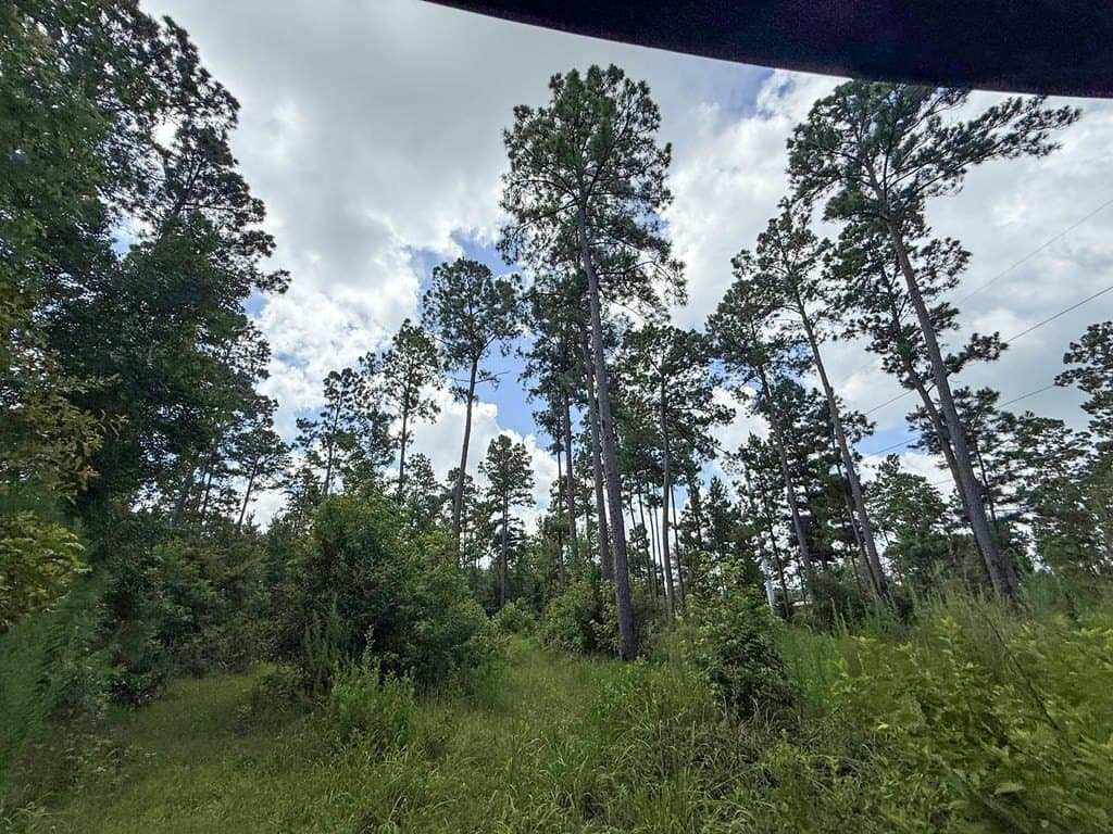 24.5 acres in Texas County - photo 16