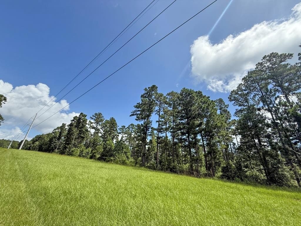 24.5 acres in Texas County gallery image 2