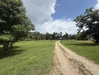 24.5 acres in Texas County - photo 18