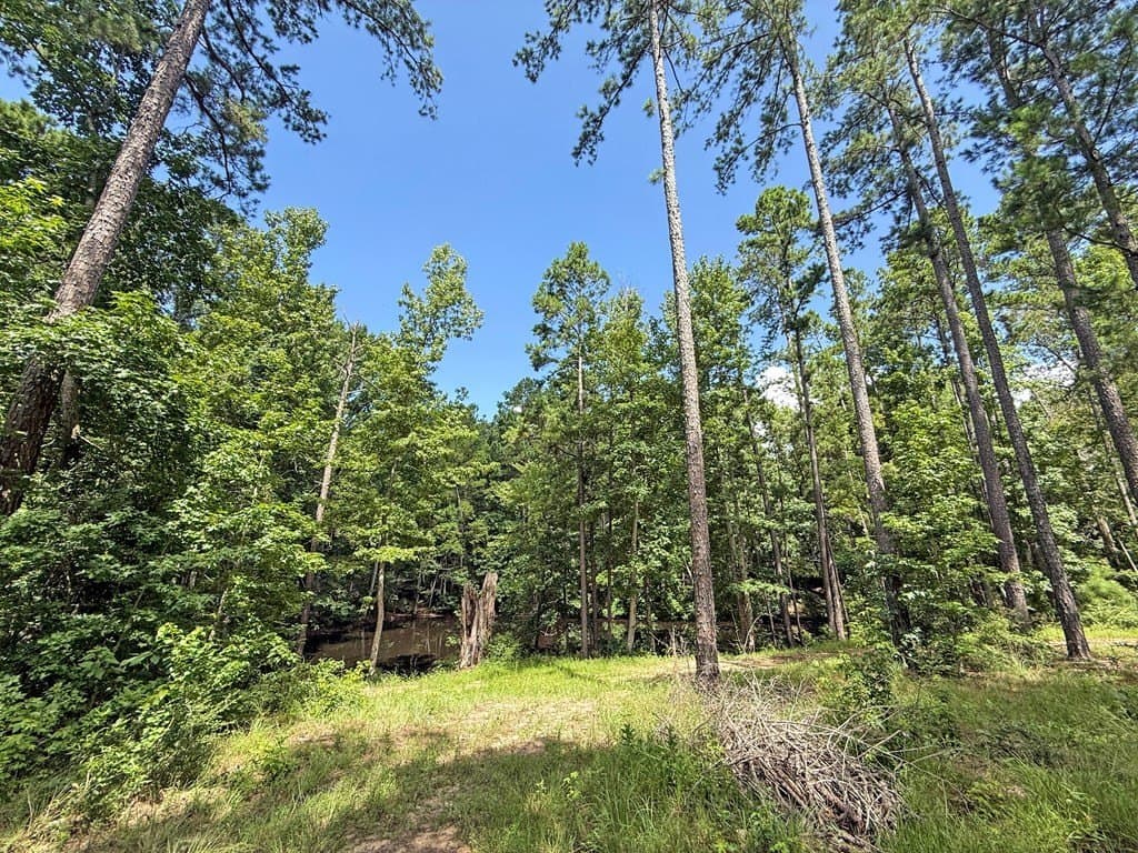 24.5 acres in Texas County - photo 14
