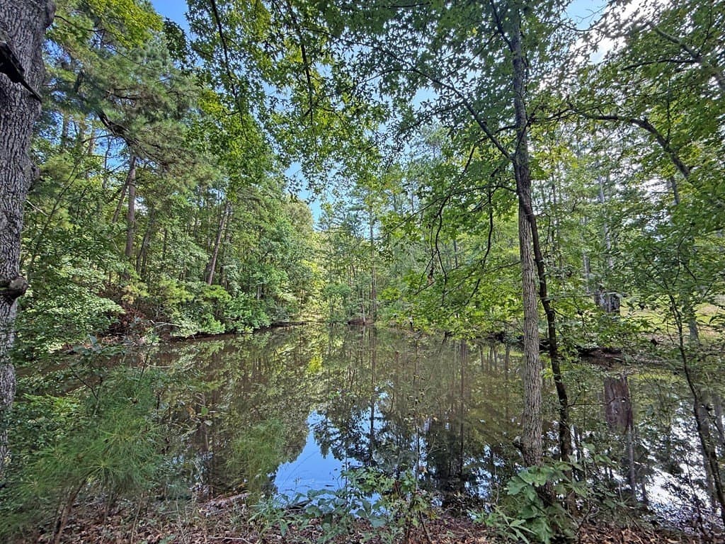 24.5 acres in Texas County - photo 15